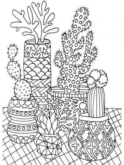 Cactus coloring pages for Adults | Free Download and Print