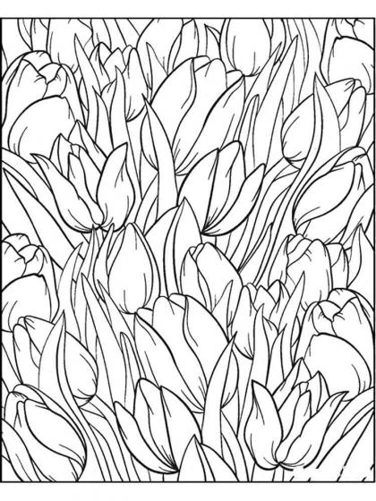 Tulips coloring pages for Adults