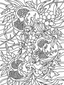 Pomegranate coloring pages for Adults - Free printable