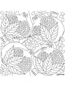 Pomegranate coloring pages for Adults - Free printable