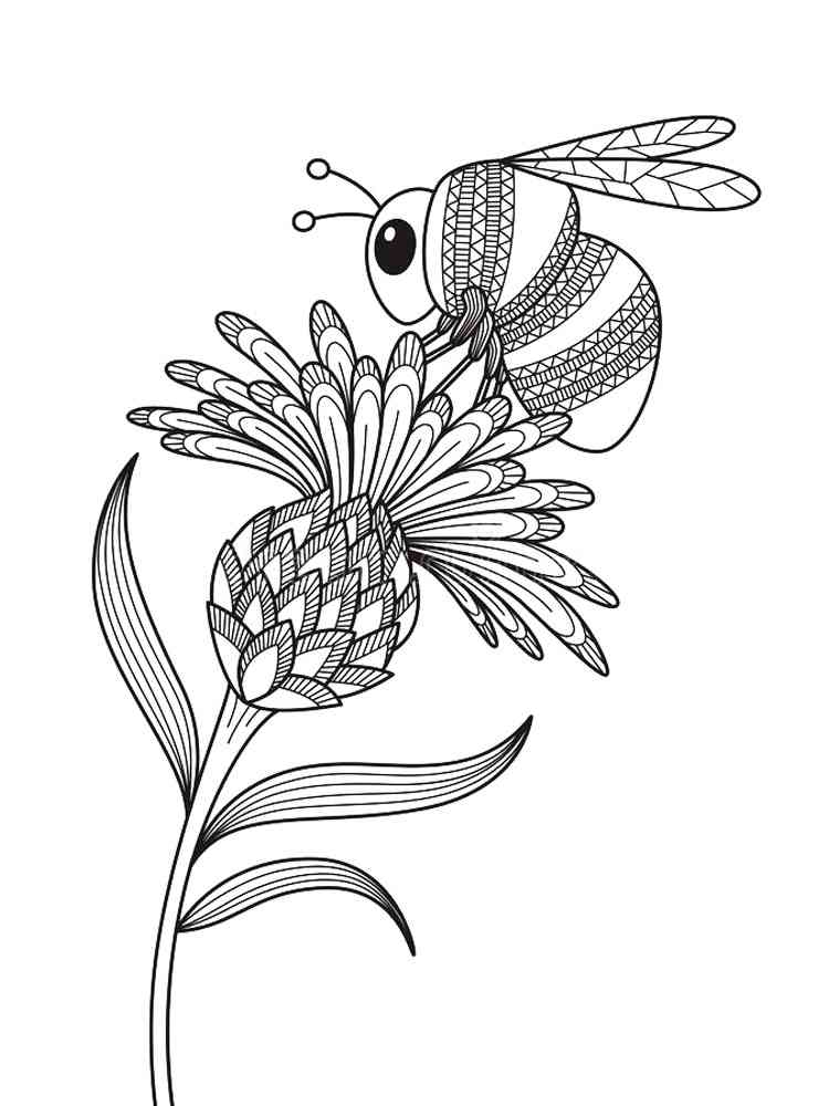 Bee coloring pages for Adults | Free Download and Print