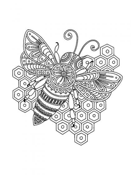 Bee coloring pages for Adults