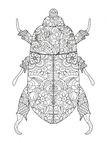 Beetle Coloring Pages For Adults 