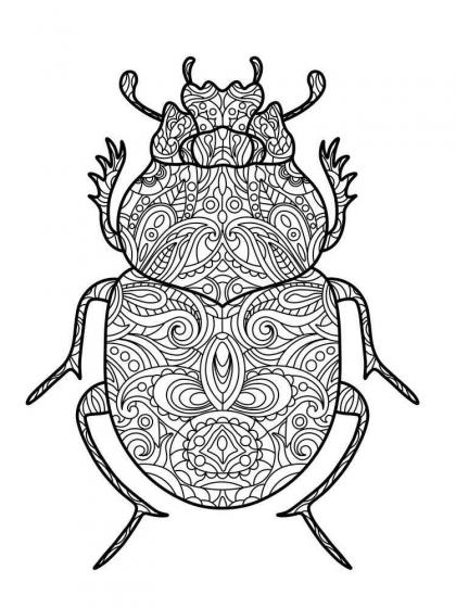 Beetle coloring pages for Adults | Free Download and Print