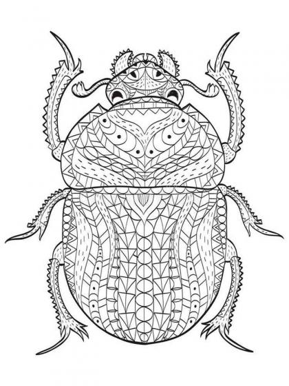 Beetle coloring pages for Adults | Free Download and Print