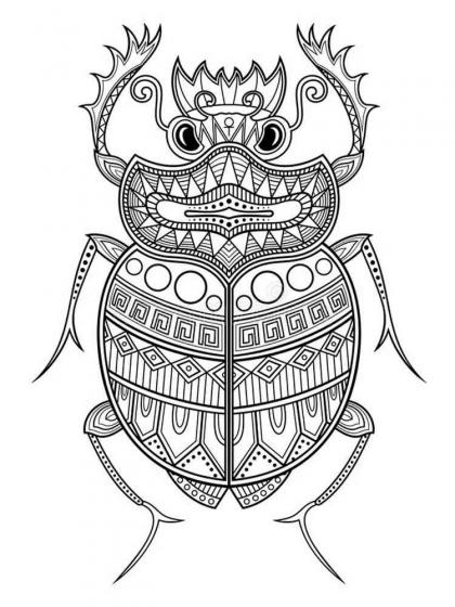 Beetle coloring pages for Adults | Free Download and Print