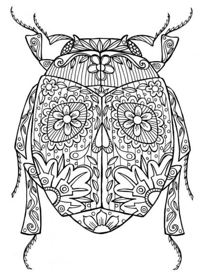 Beetle coloring pages for Adults | Free Download and Print