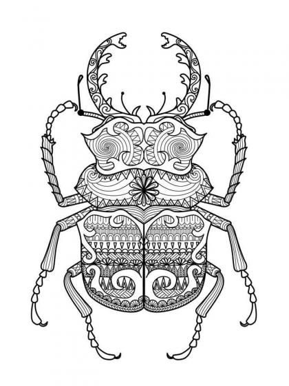 Beetle coloring pages for Adults | Free Download and Print