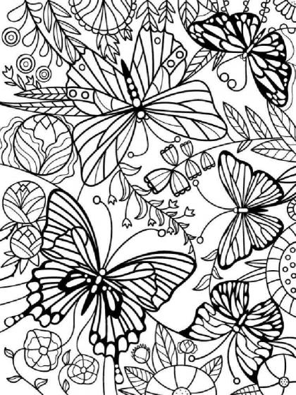 Butterfly coloring pages for Adults