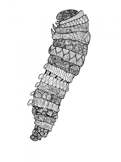 Caterpillar coloring pages for Adults | Free Download and Print