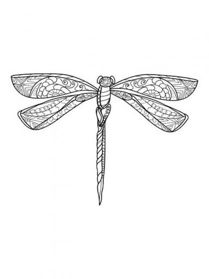 Dragonfly coloring pages for Adults | Free Download and Print