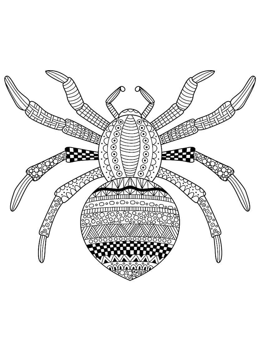 Spider coloring pages for Adults