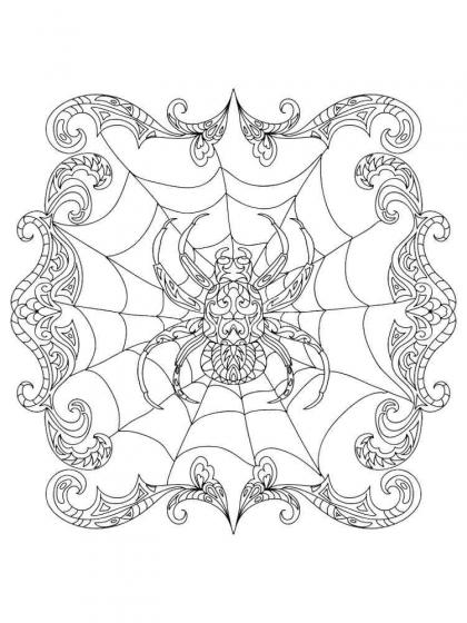 Spider coloring pages for Adults