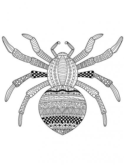 Spider coloring pages for Adults