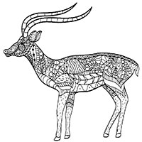 Antelope coloring pages for Adults