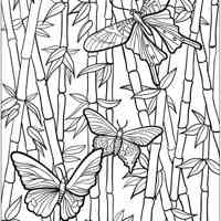 Bamboo coloring pages for Adults