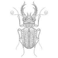Beetle coloring pages for Adults