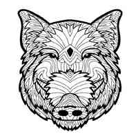 Boar coloring pages for Adults