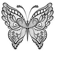 Butterfly coloring pages for Adults