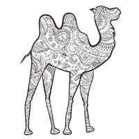 Camel coloring pages for Adults