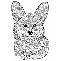 Corgi coloring pages for Adults