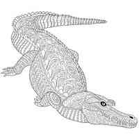 Crocodile coloring pages for Adults