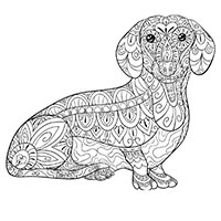Dachshund coloring pages for Adults