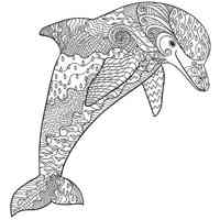 Dolphin coloring pages for Adults