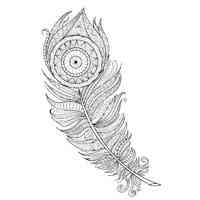 Feather coloring pages for Adults