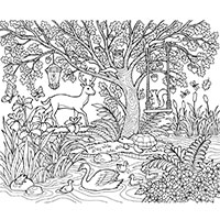 Forest coloring pages for Adults