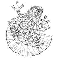 Frog coloring pages for Adults