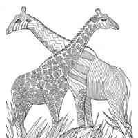Giraffe coloring pages for Adults