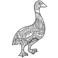 Goose coloring pages for Adults