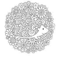 Hedgehog coloring pages for Adults