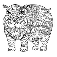 Hippo coloring pages for Adults