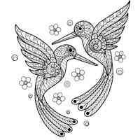 Hummingbird coloring pages for Adults
