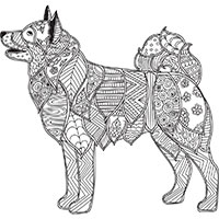 Husky coloring pages for Adults