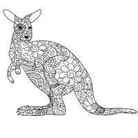 Kangaroo coloring pages for Adults