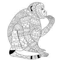 Monkey coloring pages for Adults