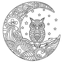 Moon coloring pages for Adults