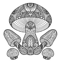 Mushrooms coloring pages for Adults