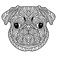 Pug coloring pages for Adults