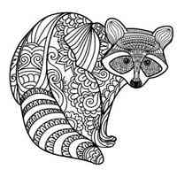 Raccoon coloring pages for Adults