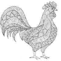 Rooster coloring pages for Adults