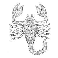 Scorpion coloring pages for Adults