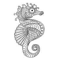 Seahorse coloring pages for Adults