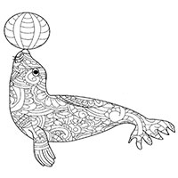 Seal coloring pages for Adults