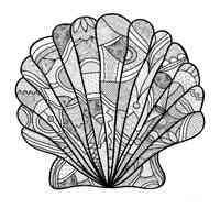 Shell coloring pages for Adults