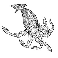 Squid coloring pages for Adults
