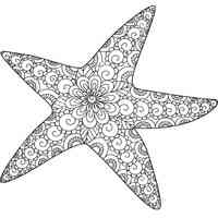 Starfish coloring pages for Adults